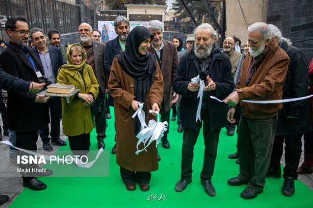 اینجا درخت ها کشته نمی شوند!